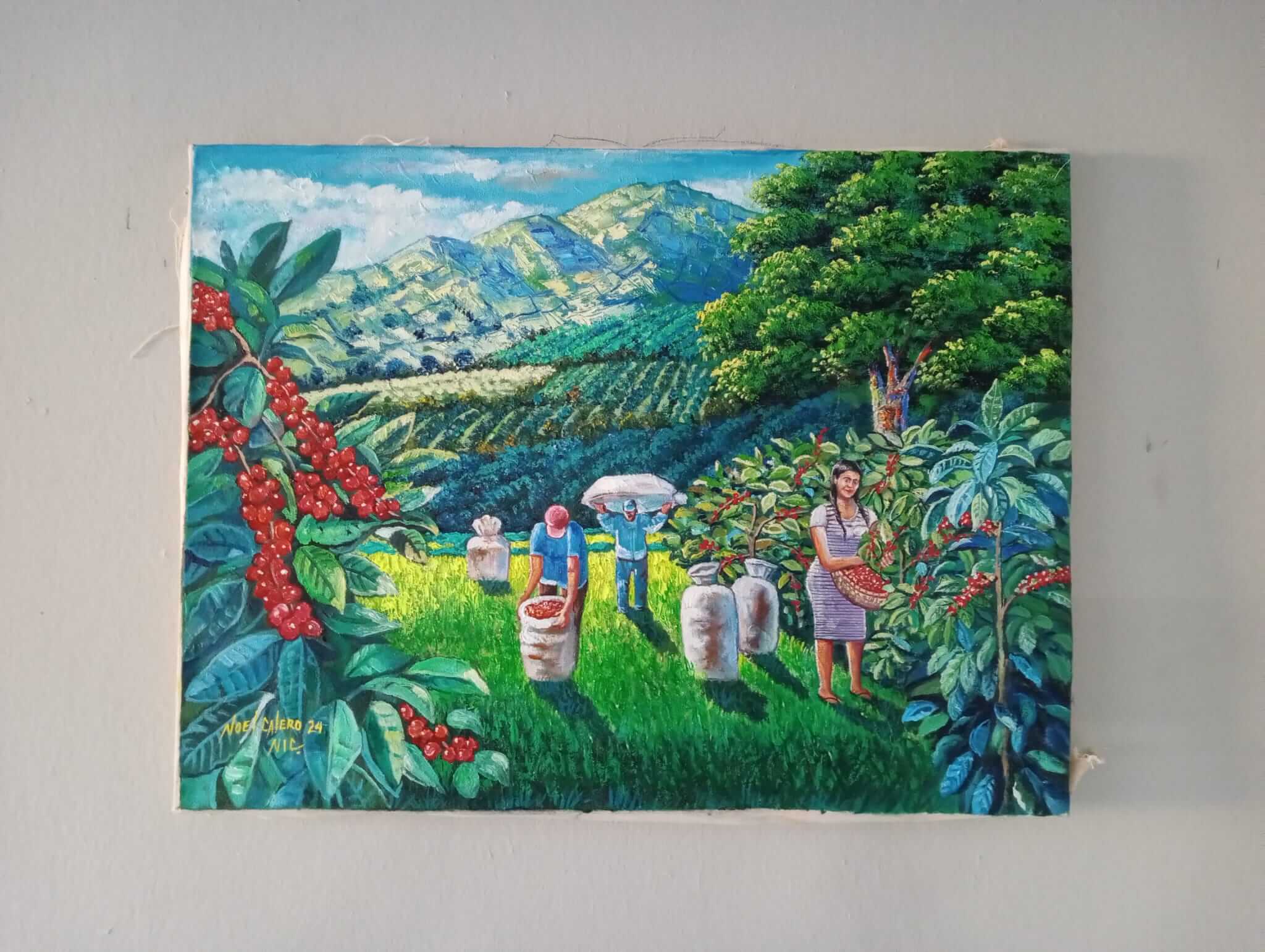 Coffee Harvest by Noel Calero